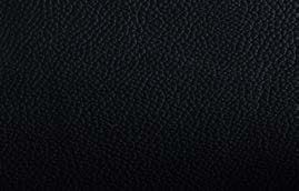 polo-860.jpg